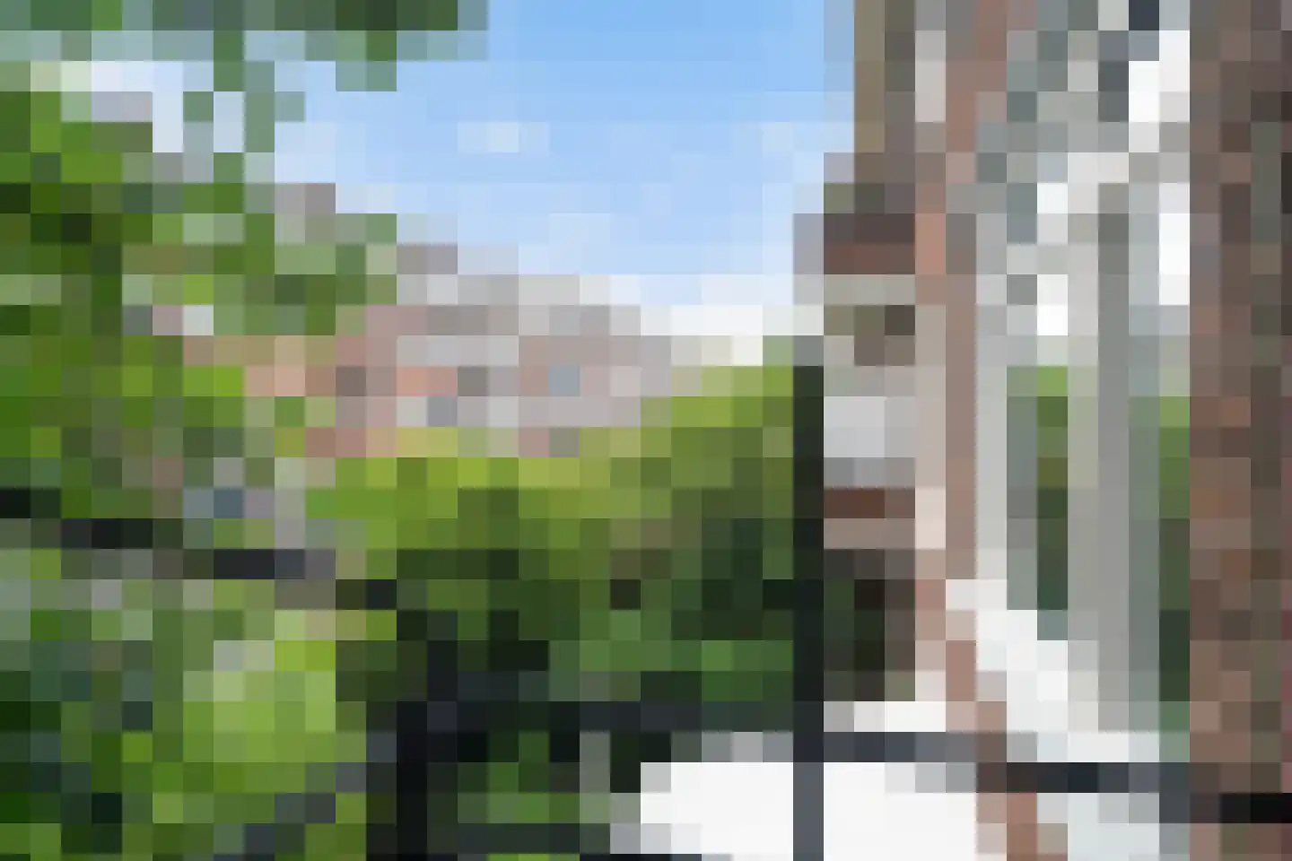 Franselaan 220 A Rotterdam thumbnail 29