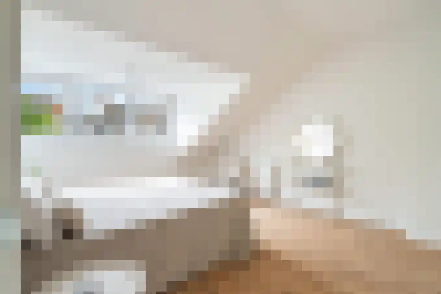 Franselaan 220 A Rotterdam thumbnail 38