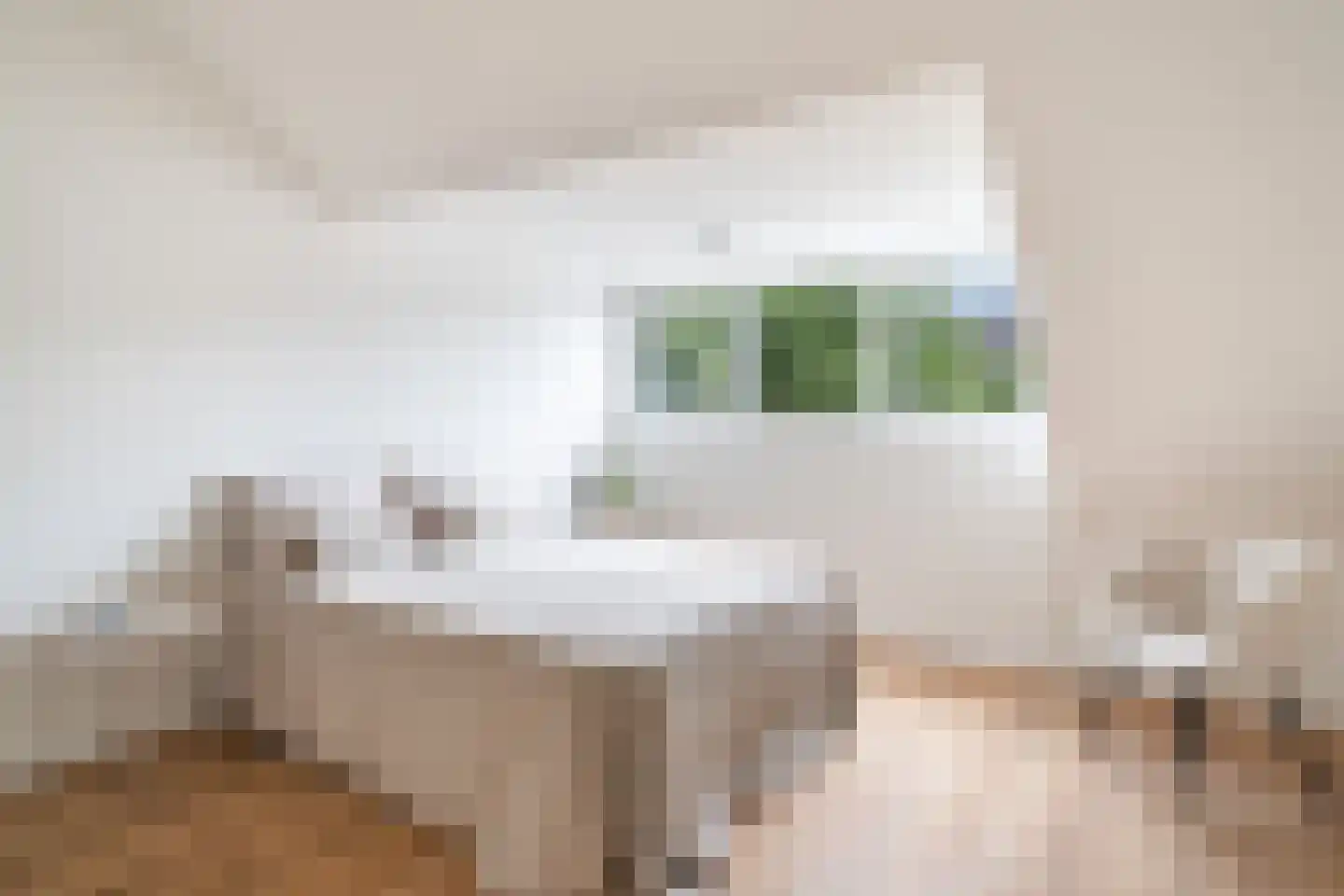 Franselaan 220 A Rotterdam thumbnail 42