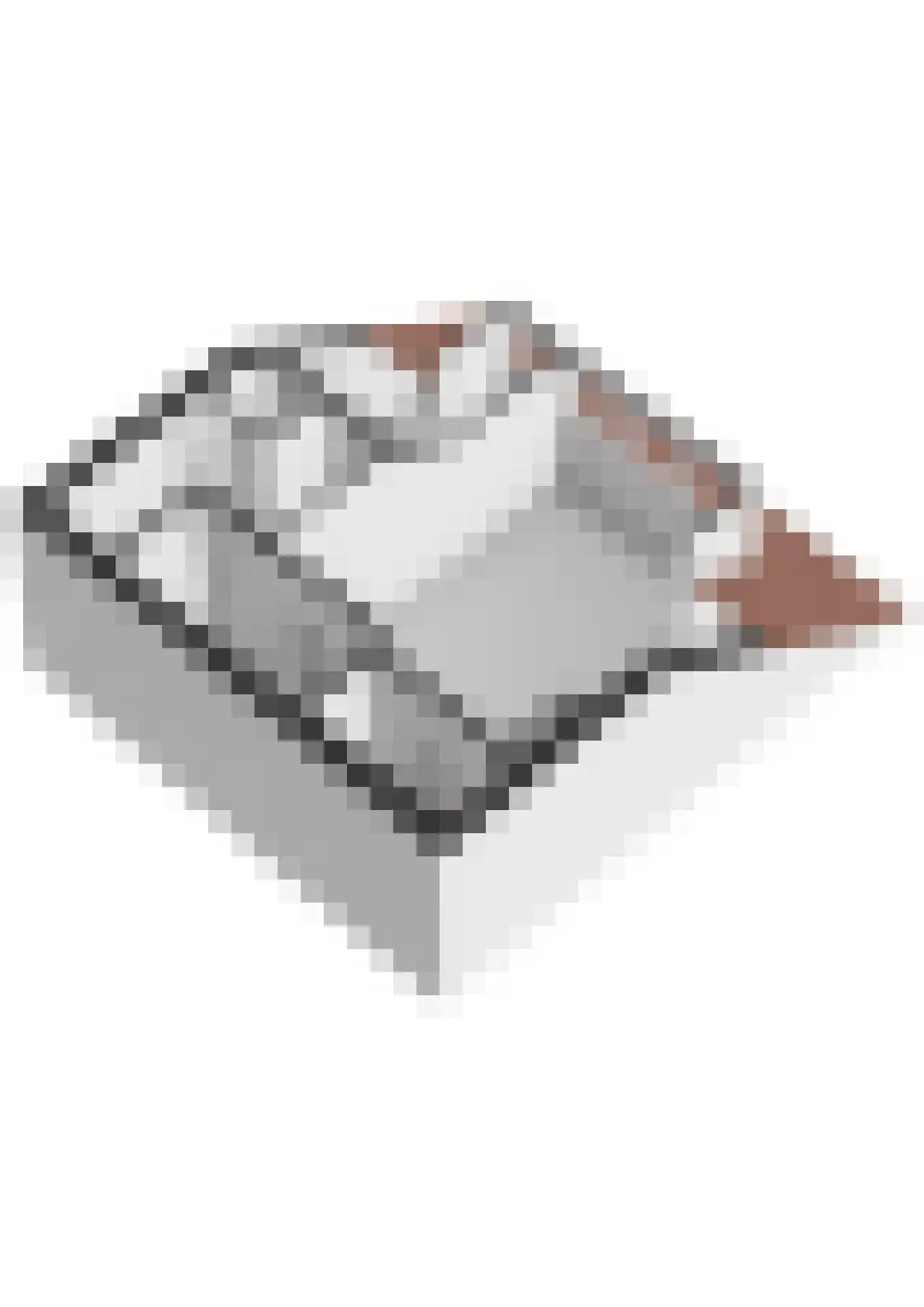 Franselaan 220 A Rotterdam thumbnail 61
