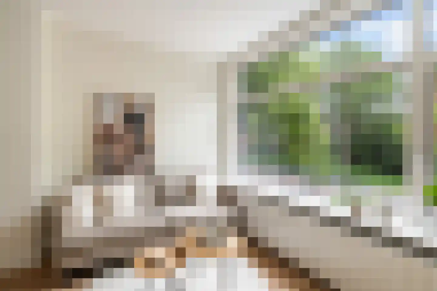 Franselaan 220 A Rotterdam thumbnail 9