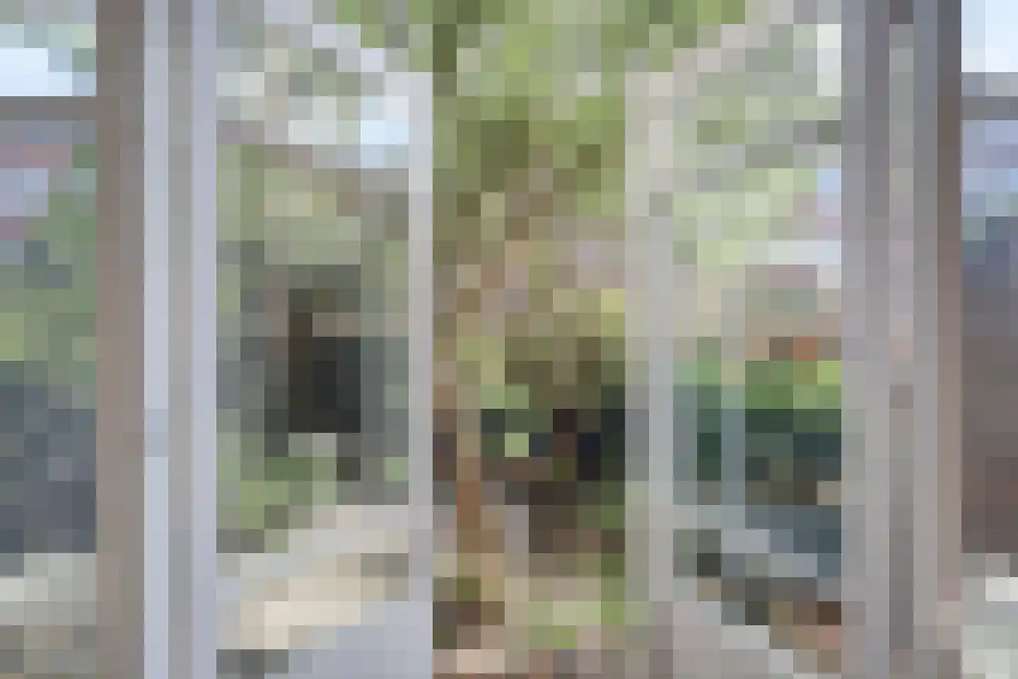 Franselaan 224 A Rotterdam thumbnail 11