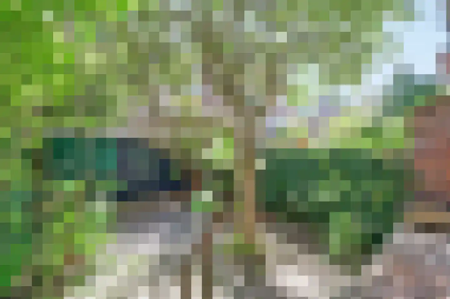 Franselaan 224 A Rotterdam thumbnail 12