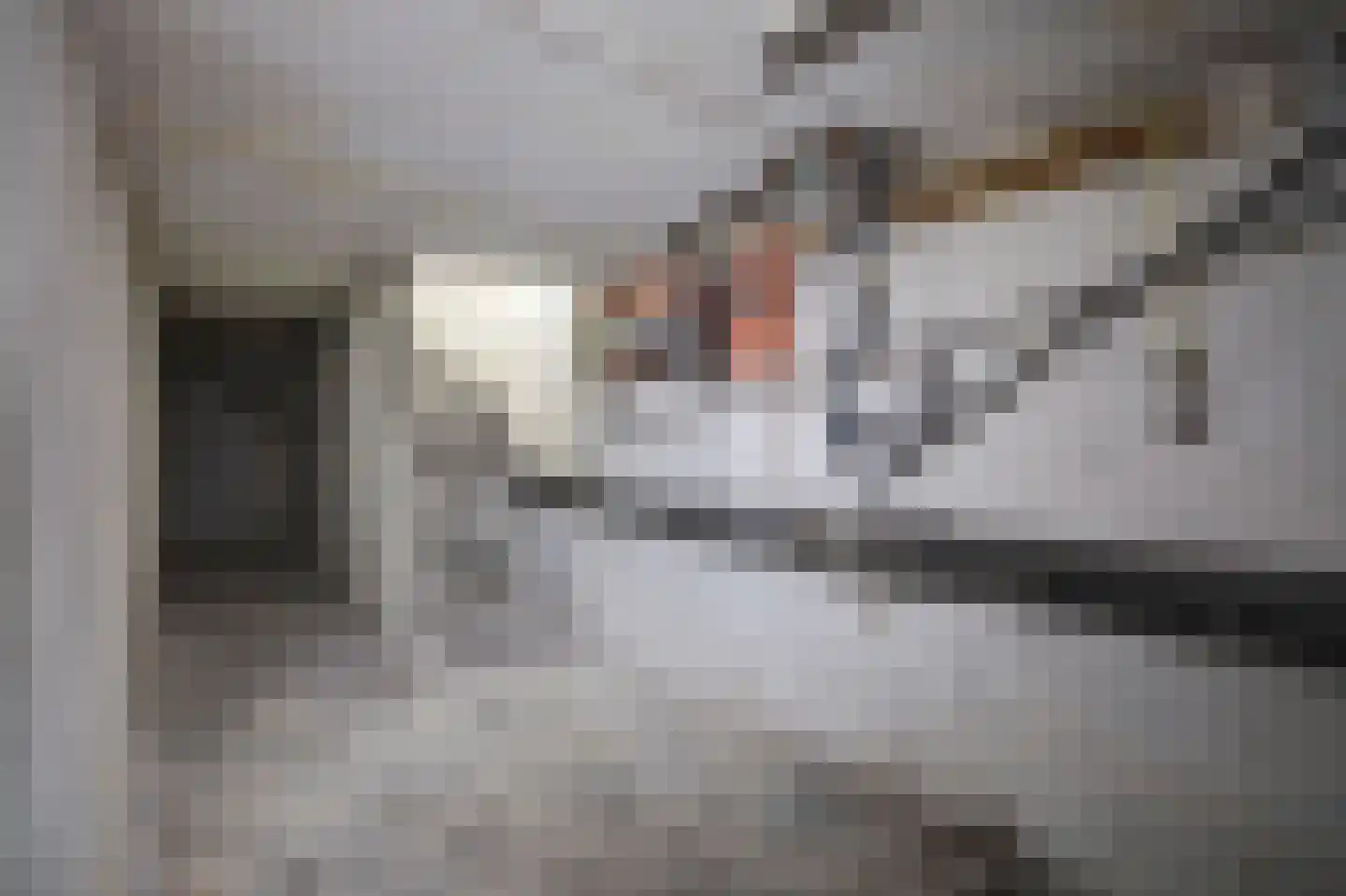 Franselaan 224 A Rotterdam thumbnail 19