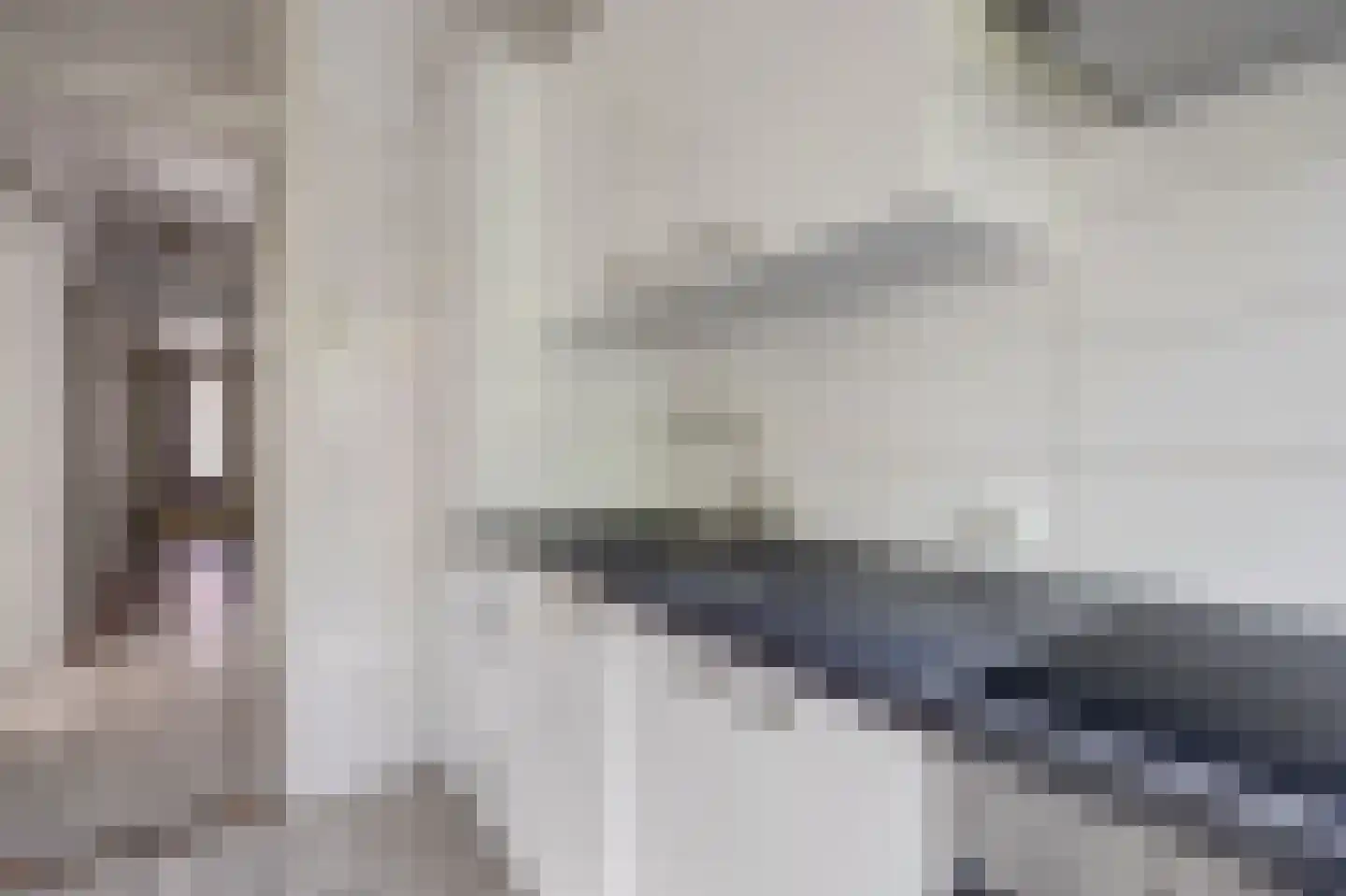 Franselaan 224 A Rotterdam thumbnail 7