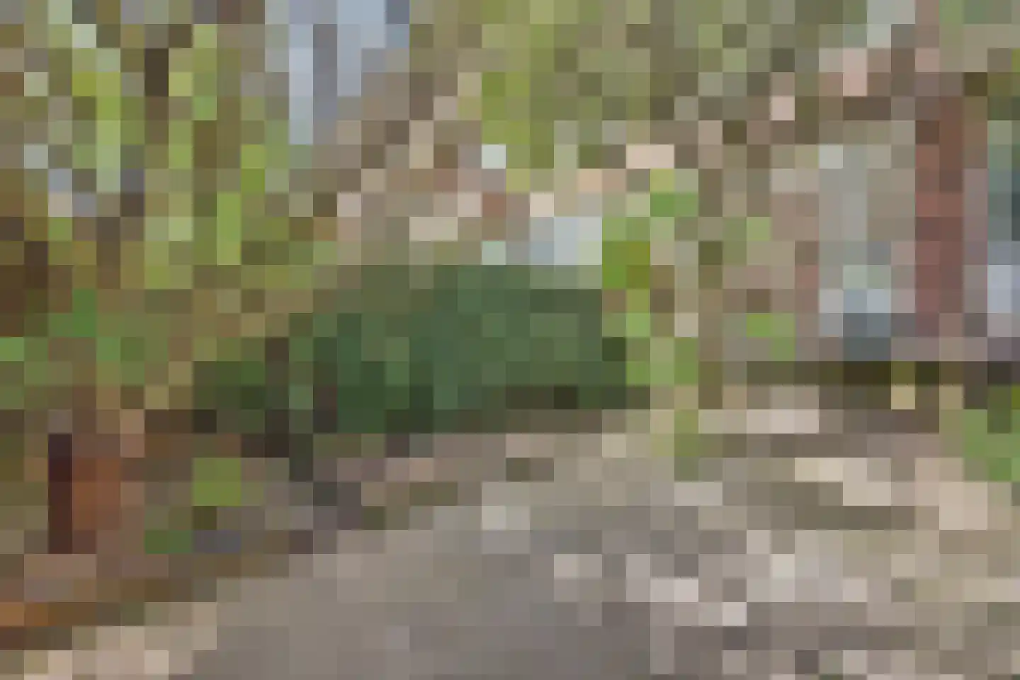 Franselaan 224 C Rotterdam thumbnail 13