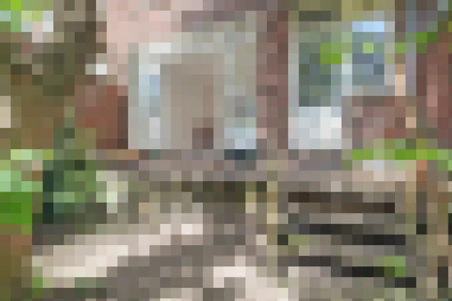 Franselaan 224 C Rotterdam thumbnail 15