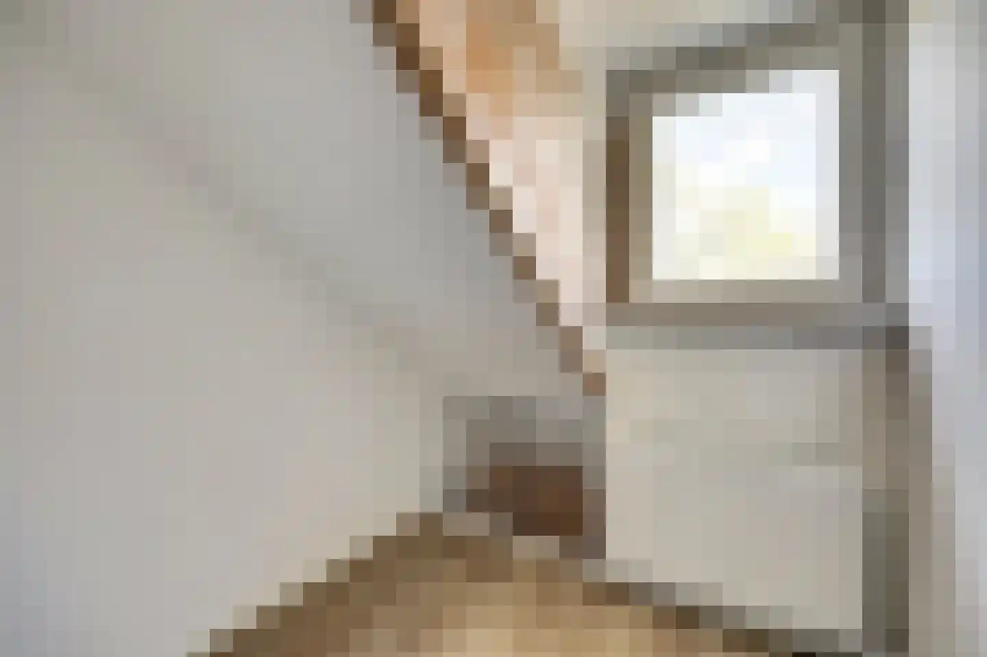 Franselaan 226 C Rotterdam thumbnail 21