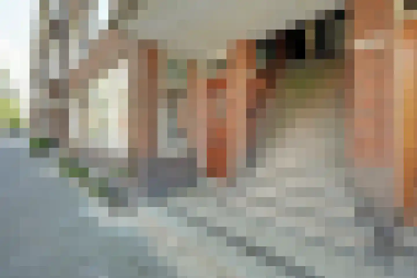 Franselaan 226 C Rotterdam thumbnail 23