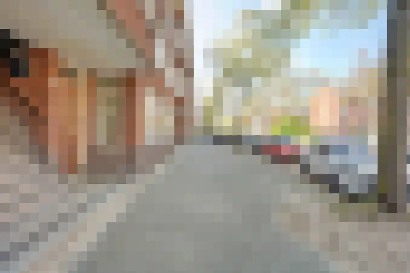 Franselaan 226 C Rotterdam thumbnail 24