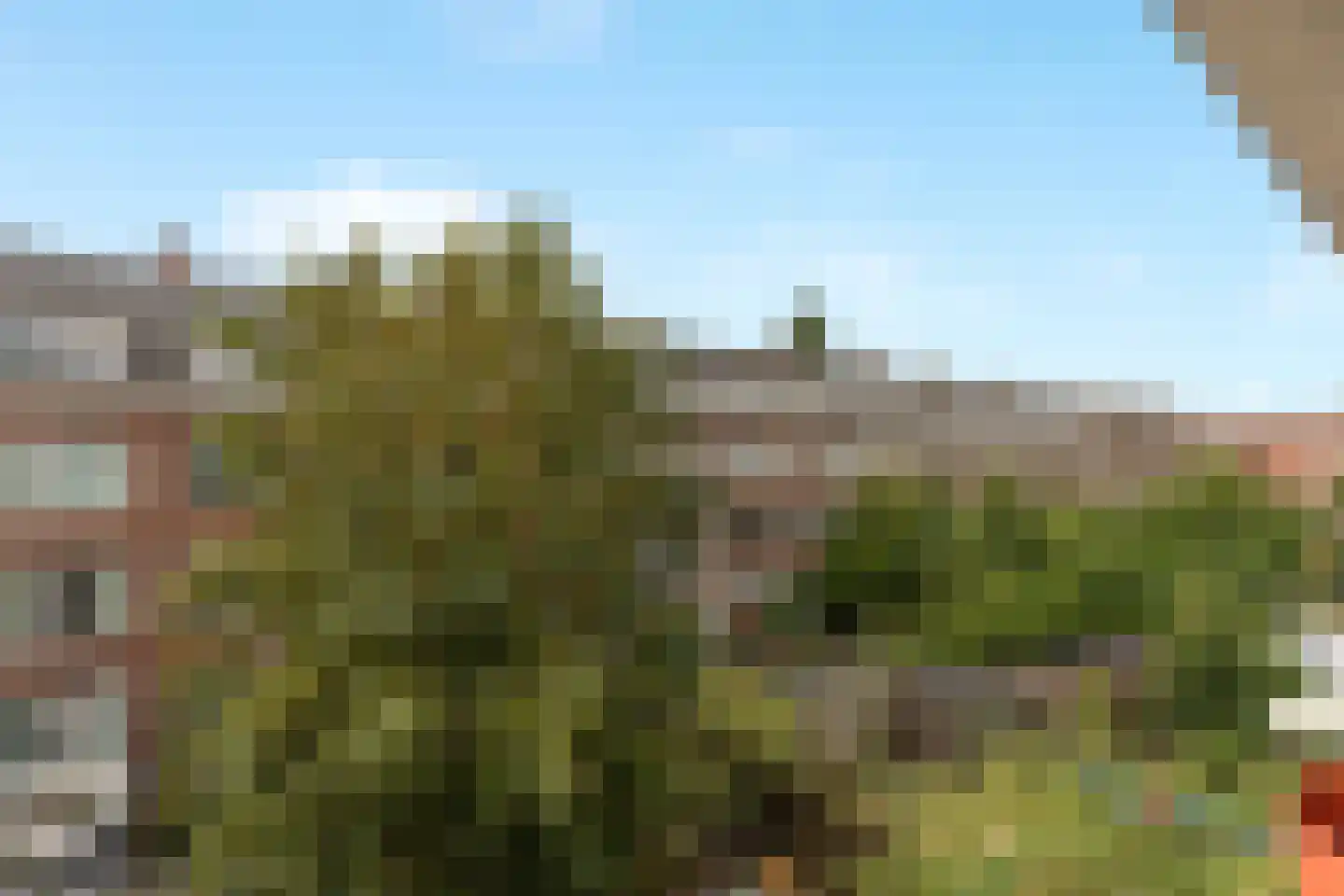 Franselaan 250 C Rotterdam thumbnail 13