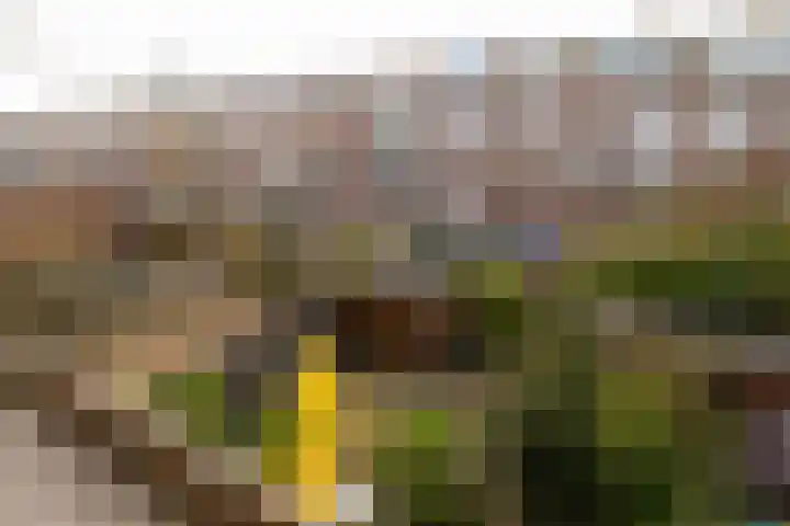 Franselaan 256 B Rotterdam thumbnail 12