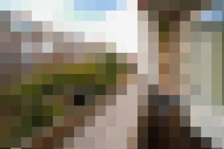 Franselaan 256 B Rotterdam thumbnail 13