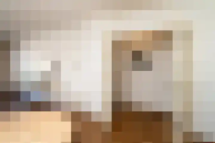 Franselaan 256 B Rotterdam thumbnail 14
