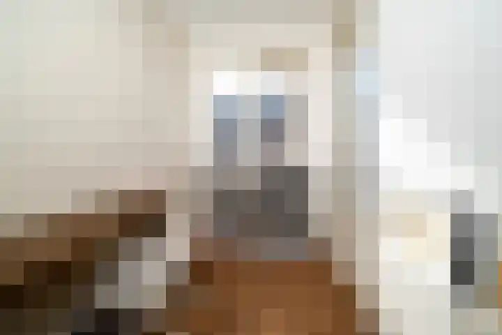 Franselaan 256 B Rotterdam thumbnail 16