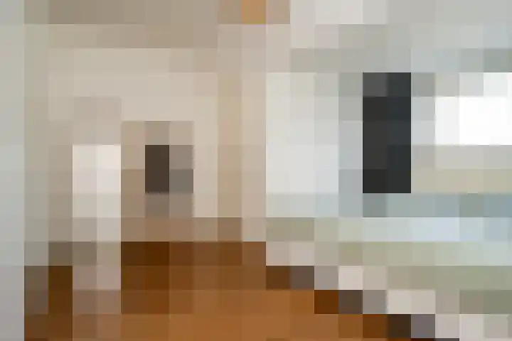 Franselaan 256 B Rotterdam thumbnail 17