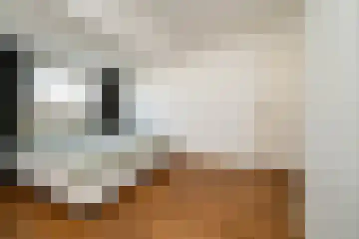 Franselaan 256 B Rotterdam thumbnail 18