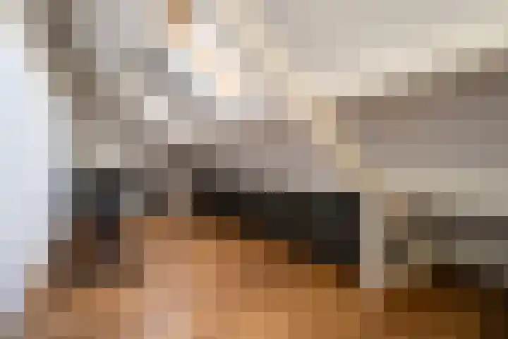 Franselaan 256 B Rotterdam thumbnail 23