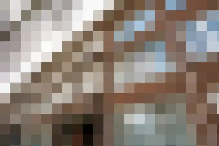 Franselaan 256 B Rotterdam thumbnail 25