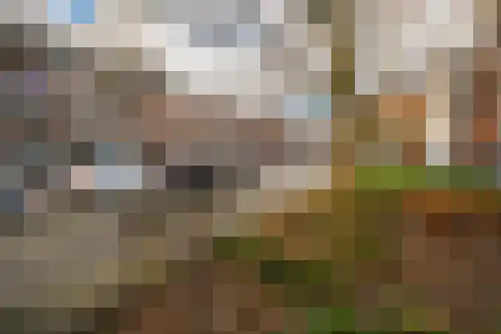 Franselaan 256 B Rotterdam thumbnail 26