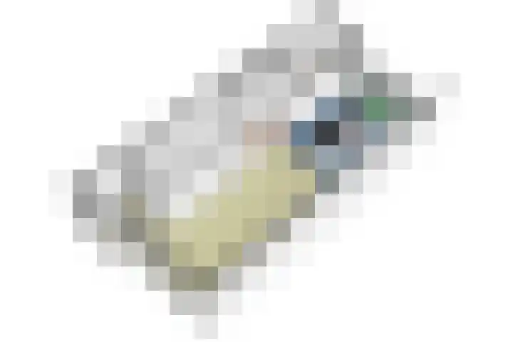 Franselaan 256 B Rotterdam thumbnail 30