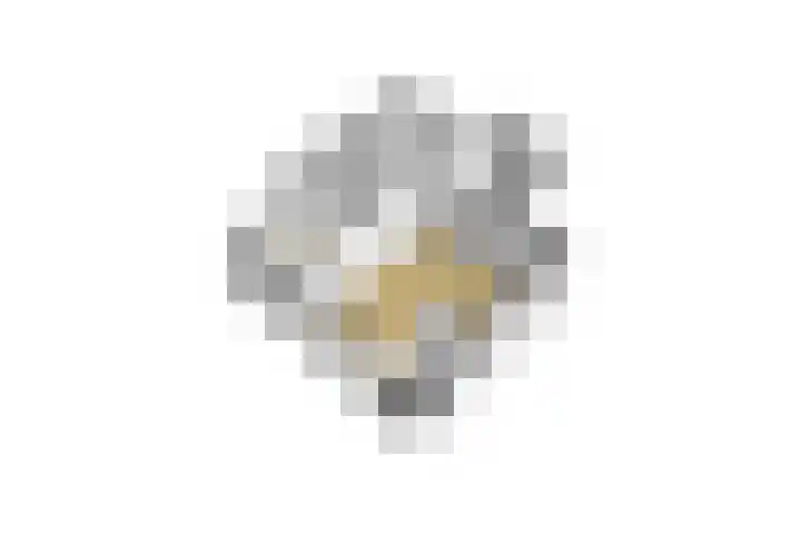 Franselaan 256 B Rotterdam thumbnail 31