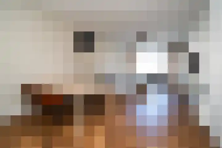 Franselaan 256 B Rotterdam thumbnail 4