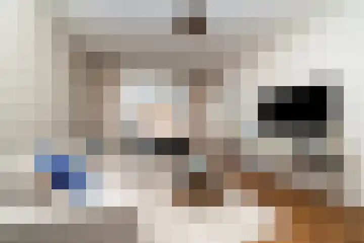 Franselaan 256 B Rotterdam thumbnail 5