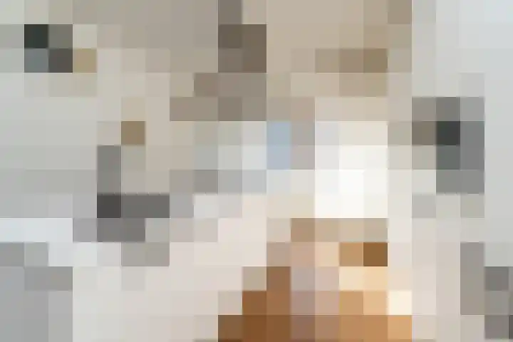 Franselaan 256 B Rotterdam thumbnail 9