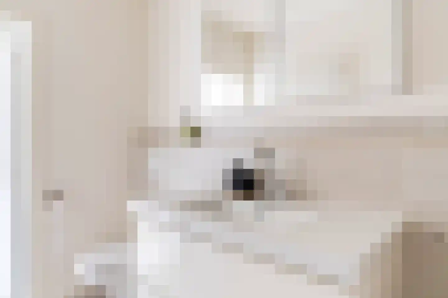 Franselaan 286 A Rotterdam thumbnail 33