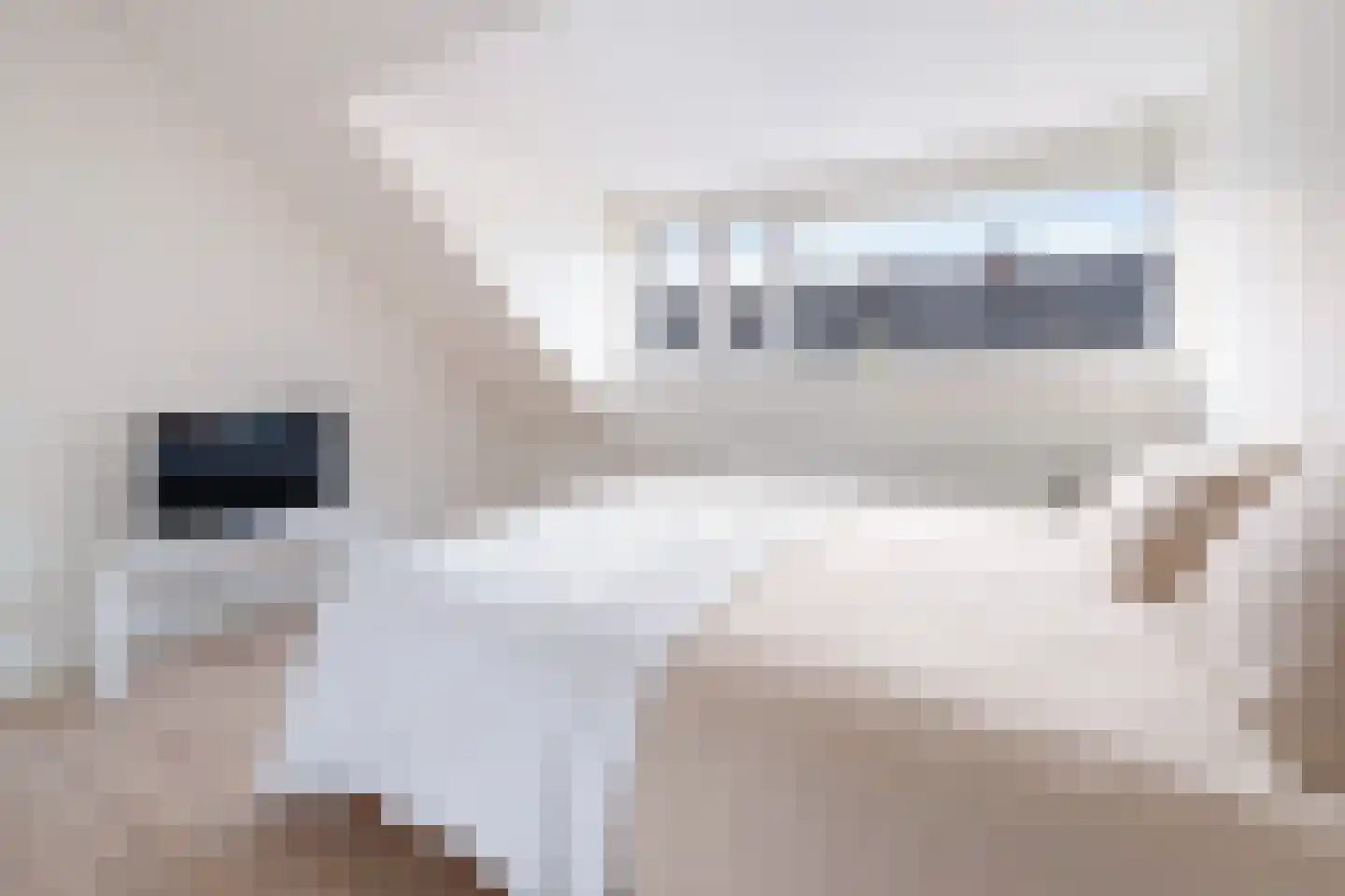 Franselaan 286 A Rotterdam thumbnail 37