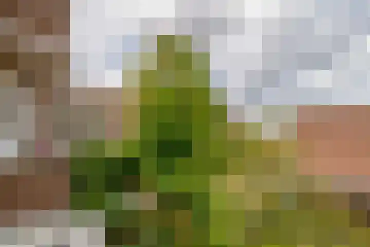 Franselaan 287 A Rotterdam thumbnail 16