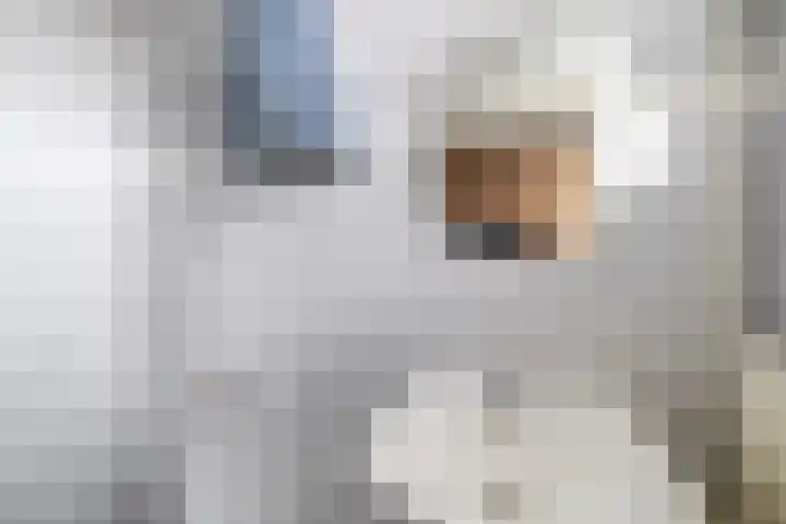 Franselaan 287 A Rotterdam thumbnail 19