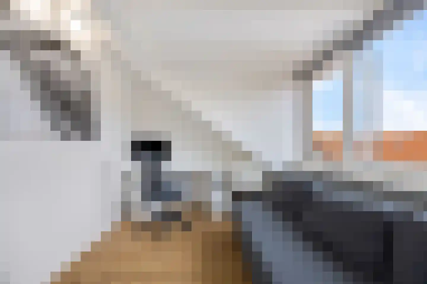 Fransen van de Puttestraat 23 Delft thumbnail 33