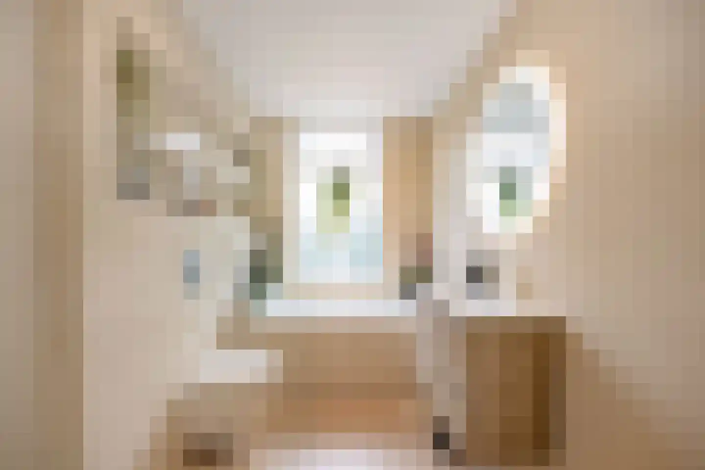 Fransen van de Puttestraat 23 Delft thumbnail 6