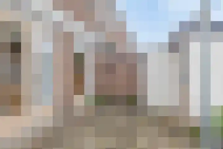 Fransen van de Puttestraat 35 Nijmegen thumbnail 25