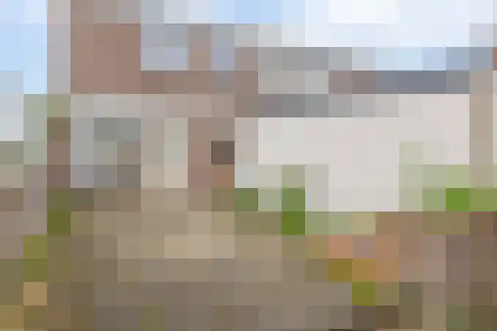 Fransen van de Puttestraat 35 Nijmegen thumbnail 27