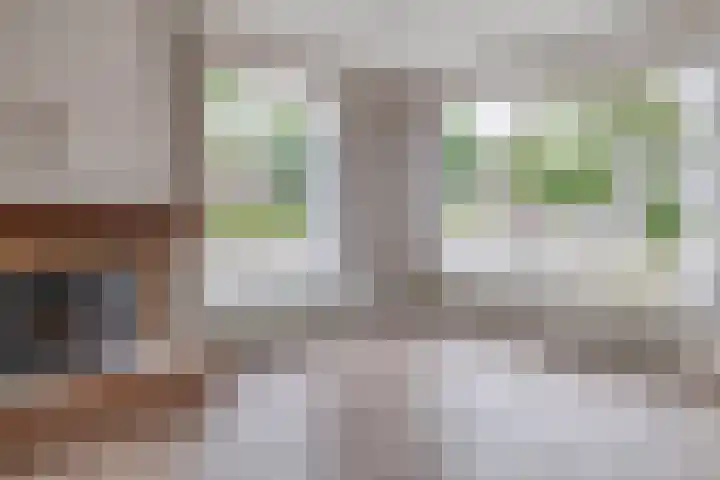 Fransen van de Puttestraat 35 Nijmegen thumbnail 7