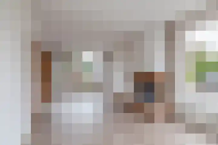 Fransen van de Puttestraat 35 Nijmegen thumbnail 8