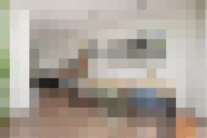 Fransen van de Puttestraat 41 Delft thumbnail 24