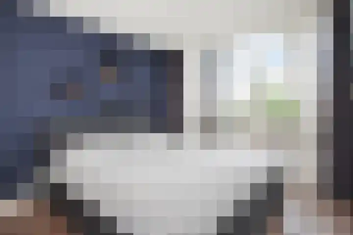 Fransen van de Puttestraat 41 Delft thumbnail 33