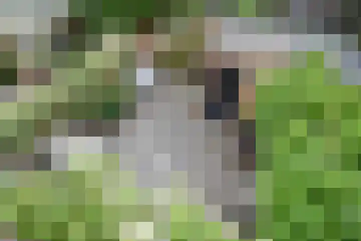 Fransen van de Puttestraat 41 Delft thumbnail 34