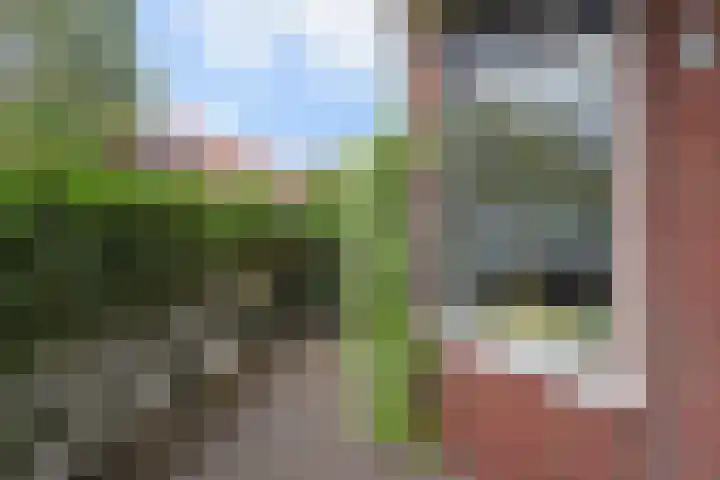 Fransen van de Puttestraat 41 Delft thumbnail 7