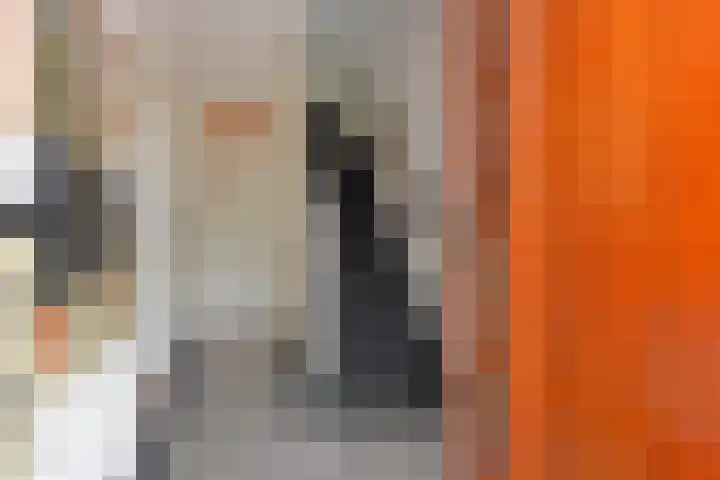 Fransen van de Puttestraat 41 Delft thumbnail 8