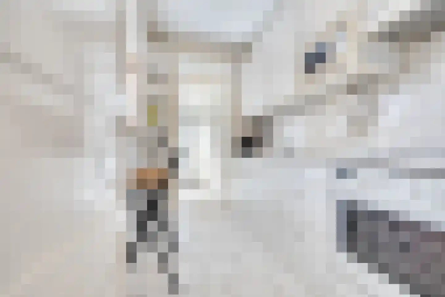 Fransen van de Puttestraat 49 Delft thumbnail 17