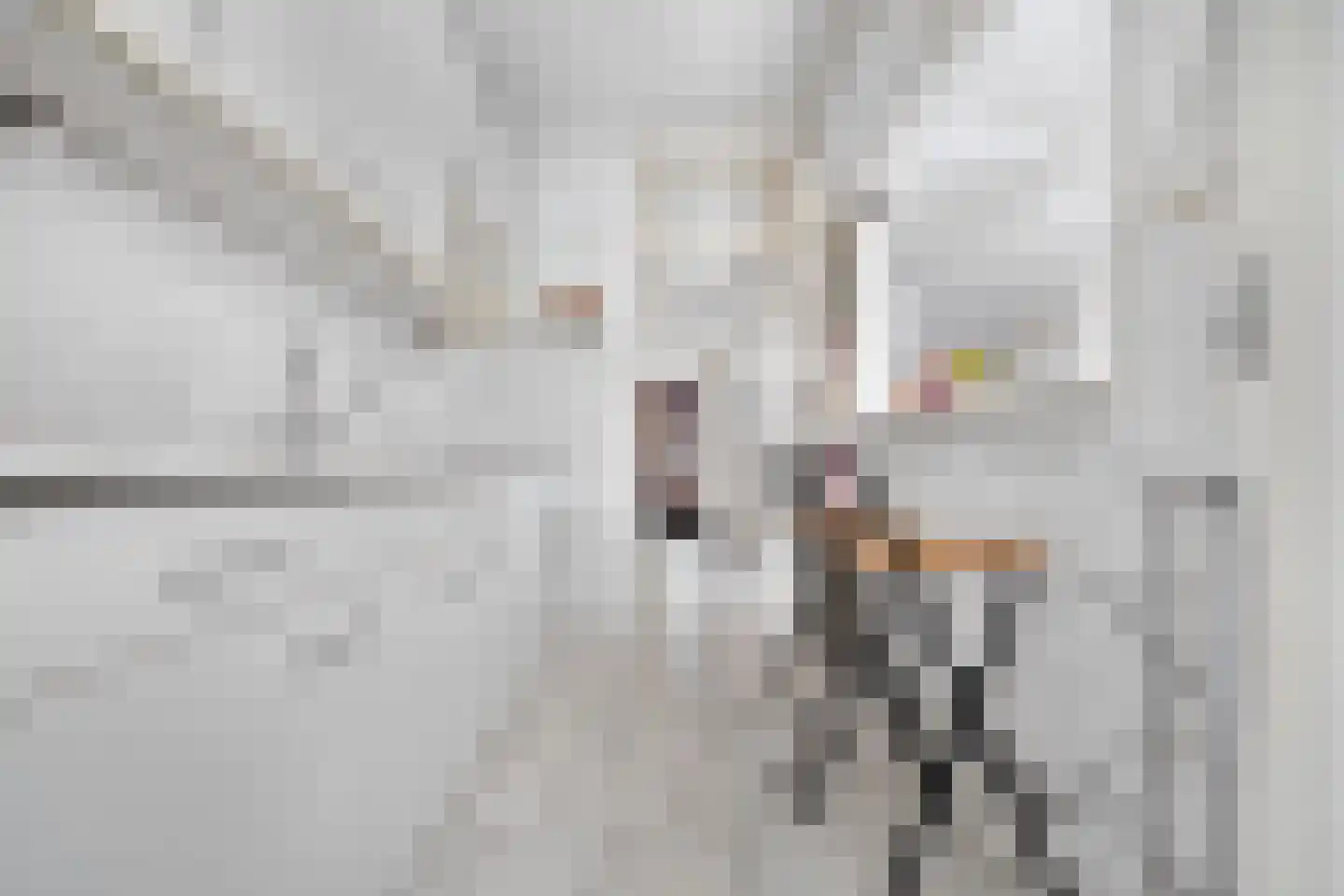 Fransen van de Puttestraat 49 Delft thumbnail 18