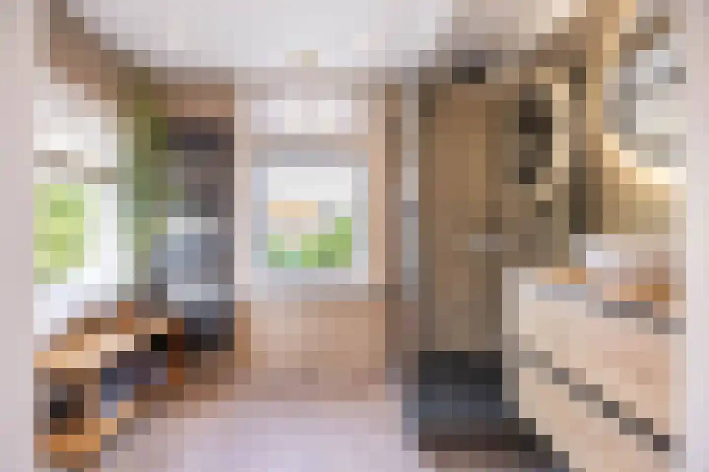 Fransen van de Puttestraat 53 Delft thumbnail 6