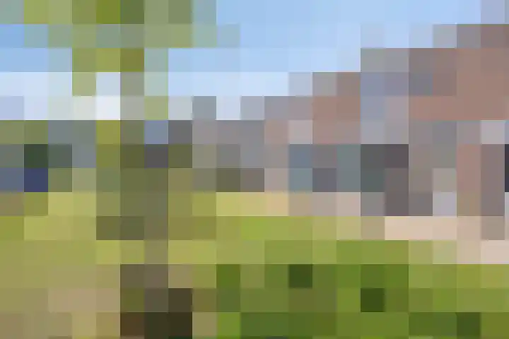 Fransen van de Puttestraat 9 Nijmegen thumbnail 19