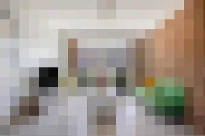 Fransen van de Puttestraat 9 Nijmegen thumbnail 5