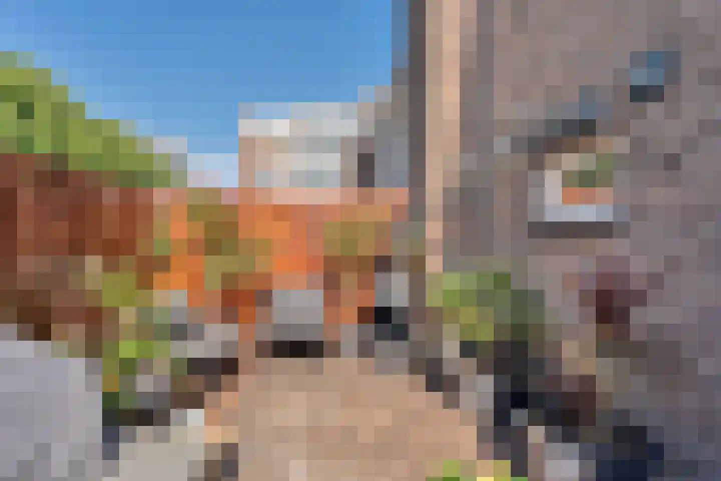 Fransenstraat 21 A Vlaardingen thumbnail 12